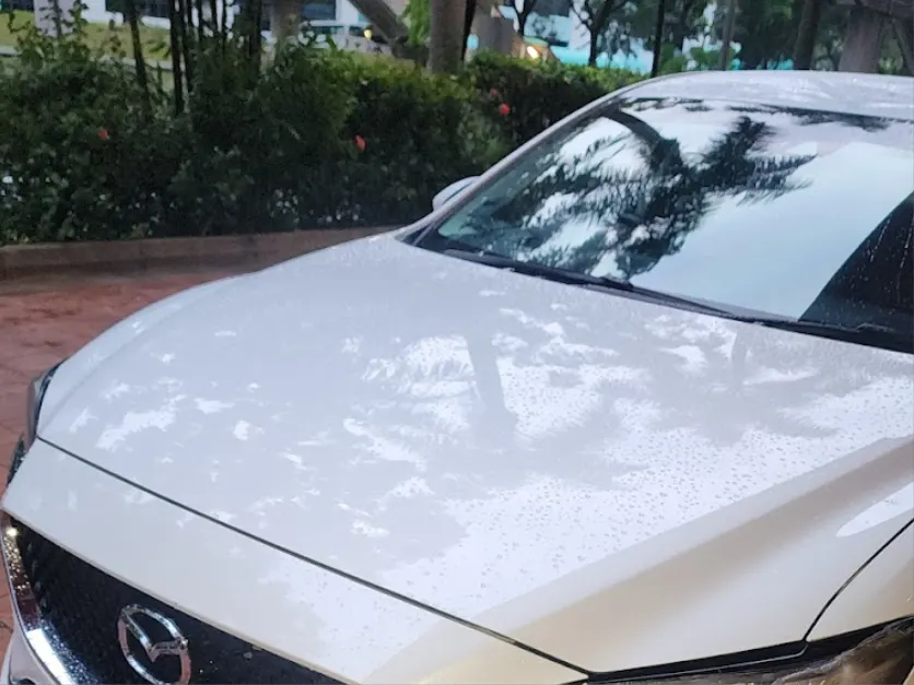 Dev's Mazda with VEP tag installed